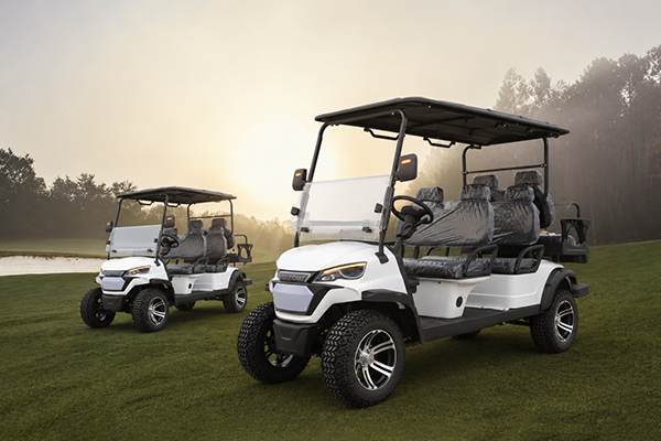 Electric golf cart off-road
