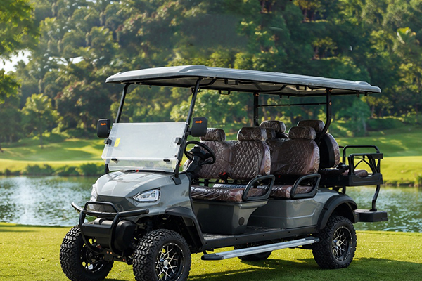 DH-14 6 Seater Off-Road Electric Golf Cart for Comfortable and Reliable Transportation