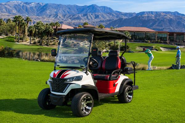 DH-11 2 Seater Off-Road Electric Golf Cart with Lithium Battery