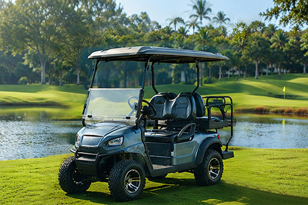 DH-12 4 Seater Off-Road Electric Golf Cart with Lithium Battery