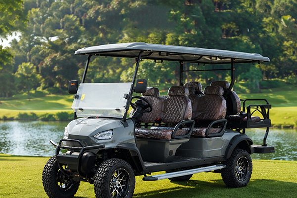 DH-14 6 Seater Off-Road Electric Golf Cart with Lithium Battery