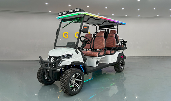 Should You Buy an Electric Golf Cart? My Honest Experience
