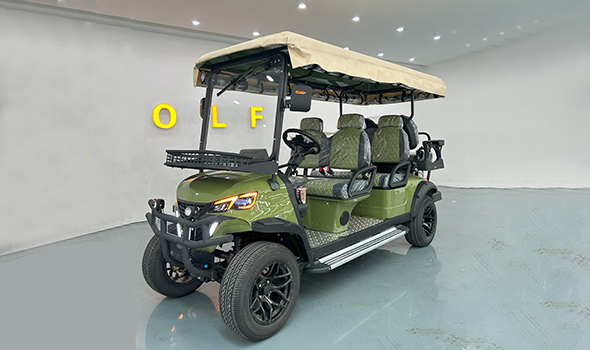 How Much Should You Pay for an Electric Golf Cart? Don't Overpay