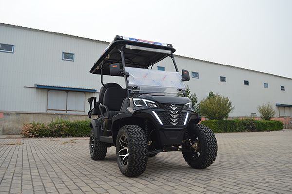 DH-12 golf cart cross-country B 1 1 4 seats (5).JPG