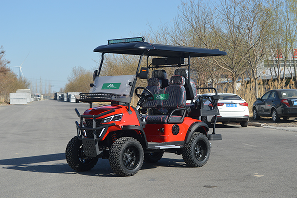 DH-12 golf cart cross-country B 1 1 4 seats (7).JPG