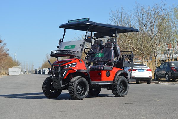 DH-12 golf cart cross-country B 1 1 4 seats (8).JPG