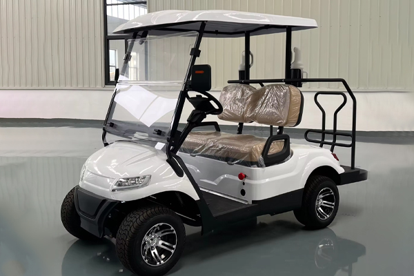 Ucsunly 2 Seater Electric Golf Scooter Large Capacity CE Certified Eec 48V 70-90km Range Customizable Design Resort Farm Outdoor