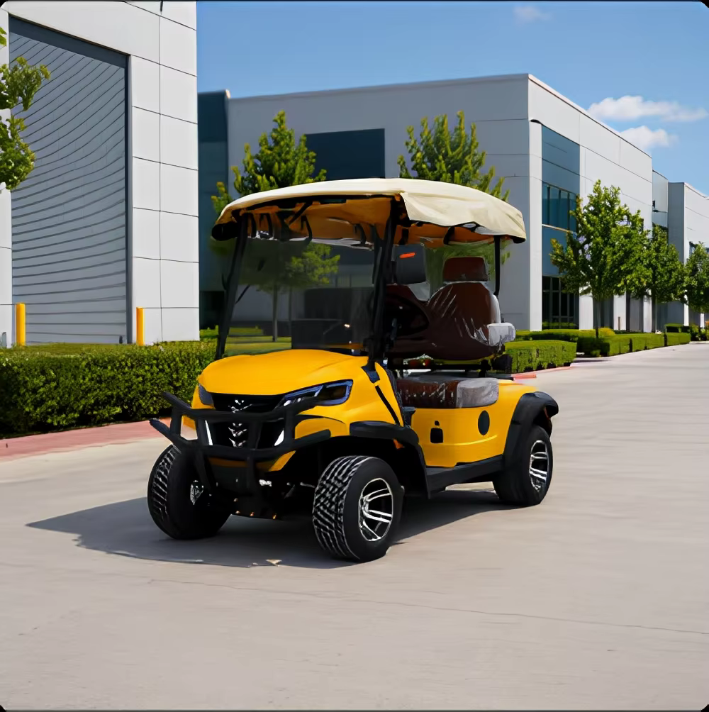 Luxury 2 Seater Electric Golf Buggy UCB-DH-11