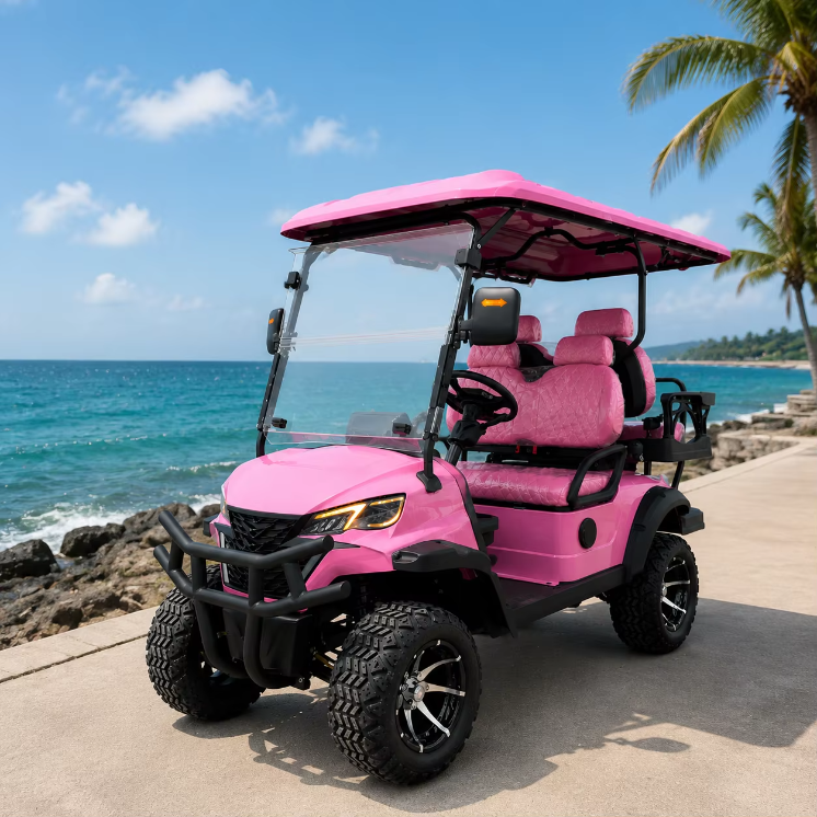 Electric 6 Seater Forward Facing Aluminium Off-Road Street Use Customizable Vehicle Resort Outdoor Mobility Golf Cart 30-50Km/h