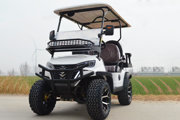 UCB-12 4 Passenger Utility for Warehouse Areas Logistics Parks and Facility Transportation Golf Cart