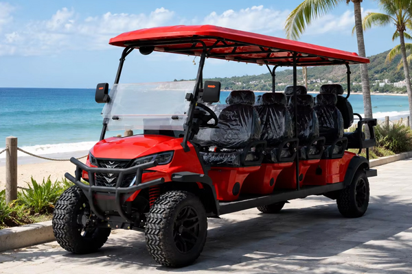Factory Direct 10 Seater Electric Golf Cart with OEM Customization Service for Global Dealers