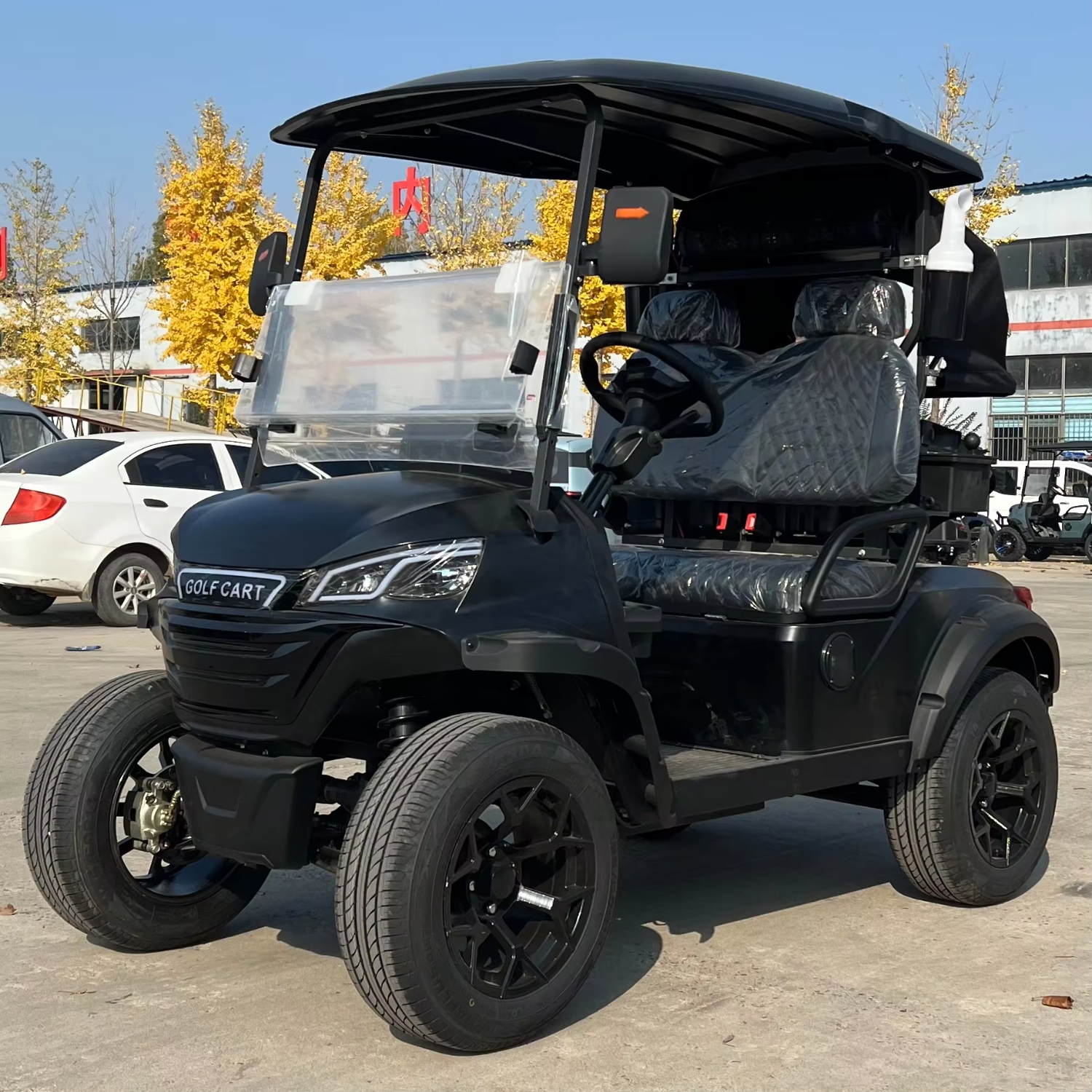 Electric 2 Seater Golf Cart with LED Lights Air Conditioning Refrigerator for Resort Shuttle Outdoor Mobility Leisure Use