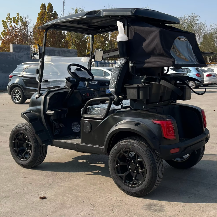Electric 2 Seater Golf Cart with LED Lights Air Conditioning Refrigerator for Resort Shuttle Outdoor Mobility Leisure Use
