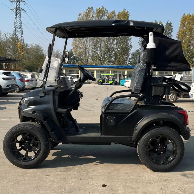 Electric 2 Seater Golf Cart with LED Lights Air Conditioning Refrigerator for Resort Shuttle Outdoor Mobility Leisure Use