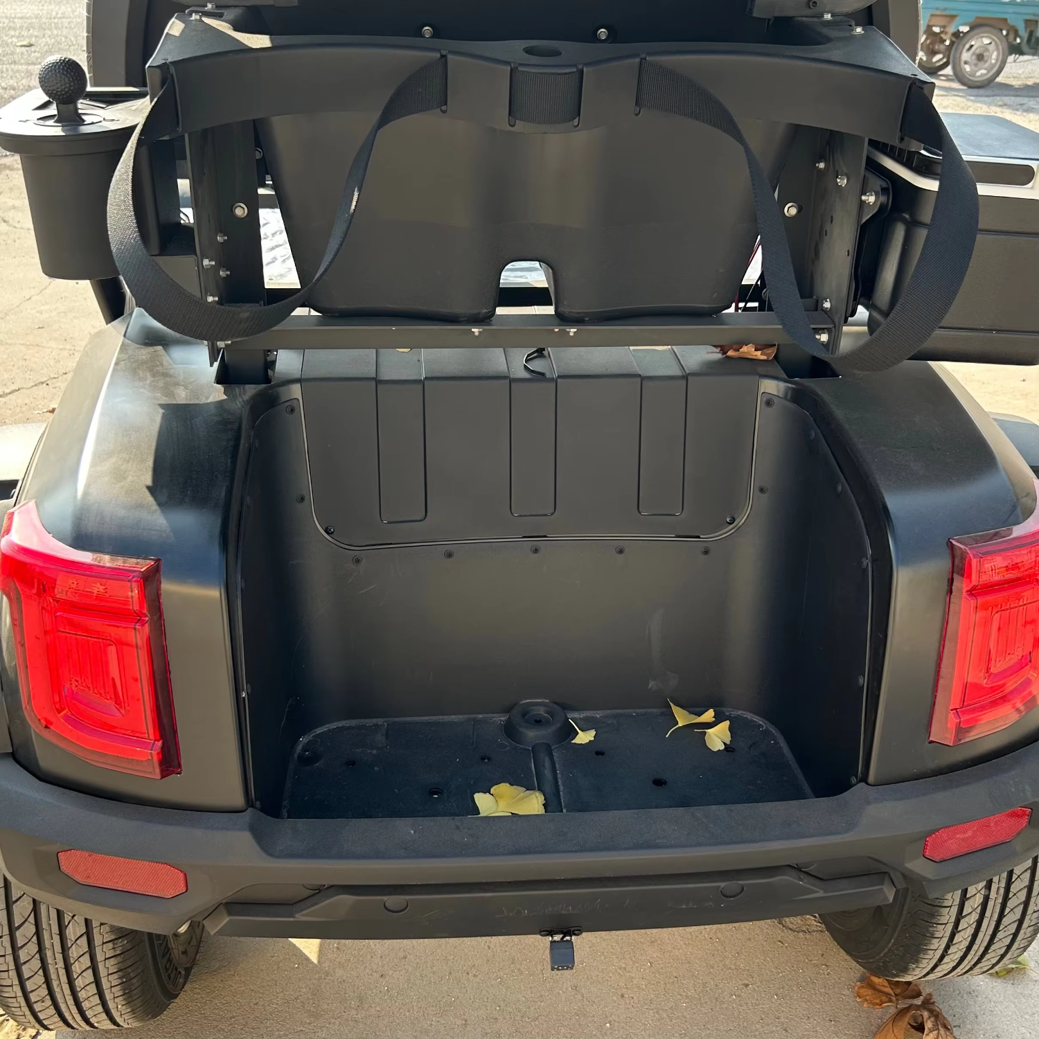 Electric 2 Seater Golf Cart with LED Lights Air Conditioning Refrigerator for Resort Shuttle Outdoor Mobility Leisure Use