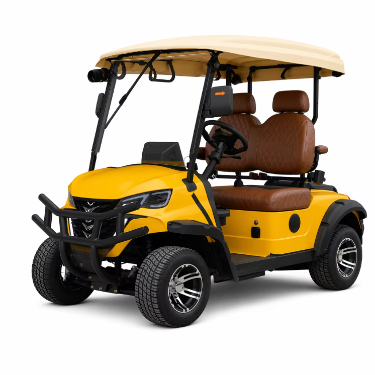Electric 2 Seater Golf Cart with LED Lights Air Conditioning Refrigerator for Resort Shuttle Outdoor Mobility Leisure Use