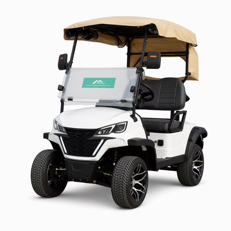 Electric 2 Seater Golf Cart with LED Lights Air Conditioning Refrigerator for Resort Shuttle Outdoor Mobility Leisure Use