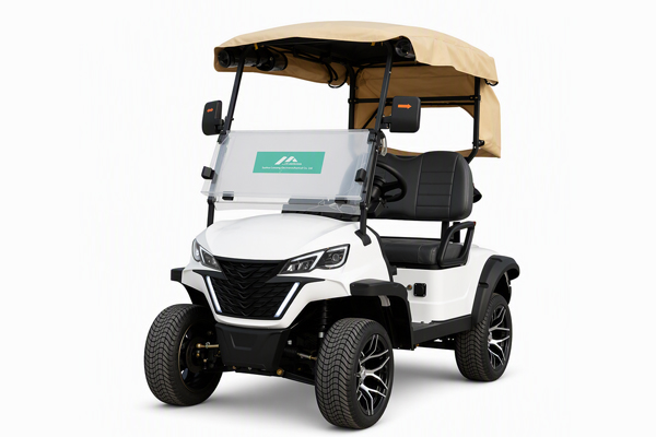 UCB-11 2 Seater Golf Cart Off Road Golf Car for Resort Farm and Outdoor Mobility